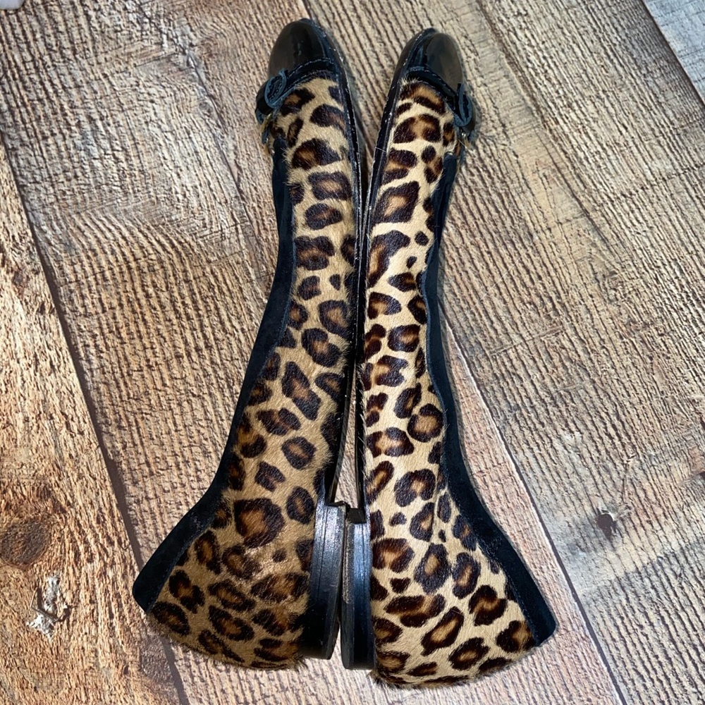AGL ATTILIO GIUSTI LEOMBRUNI LEOPARD FLAT SLIP ON - Picture 5 of 9